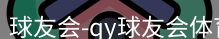 qy球友会